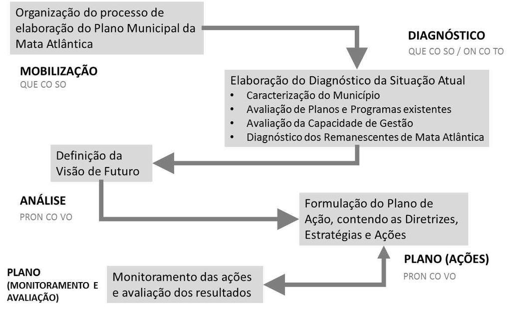 ETAPAS DE ELABORAÇÃO DOS PLANOS MUNICIPAIS DA MATA ATLÂNTICA Segundo a Lei Federal n o 11.