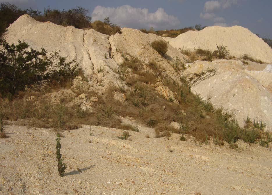 RESULTADOS E DISCUSSÃO As mineradoras produzem maiores quantidades de rejeitos, chegando a alcançar em média 20 a 50 metros de altitude e de extensão