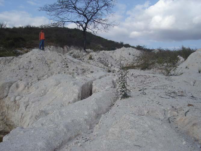 RESULTADOS E DISCUSSÃO As feições erosivas de médio a grande porte são uma constante nas lavras abandonadas, o que indicam o