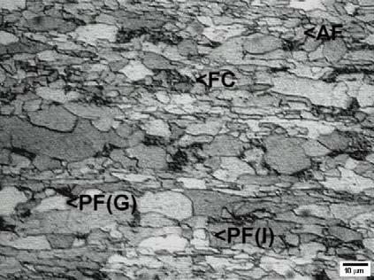 122 O material de base apresenta uma microestrutura basicamente ferrítica de grãos de tamanhos diversos e alongados, Fig. 68. Figura 68.