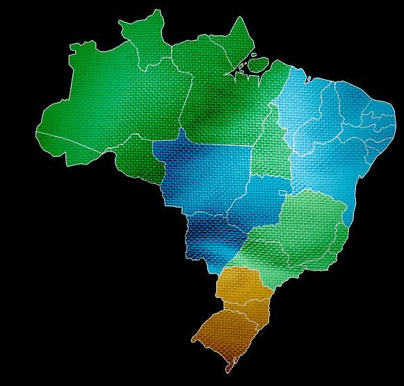 Mapa de atuação 294 lojas: 26 estados e Distrito Federal N: 21 LOJAS AM: 6 Lojas PA: 8 Lojas TO: 1 Loja AC: 1 Loja AP: