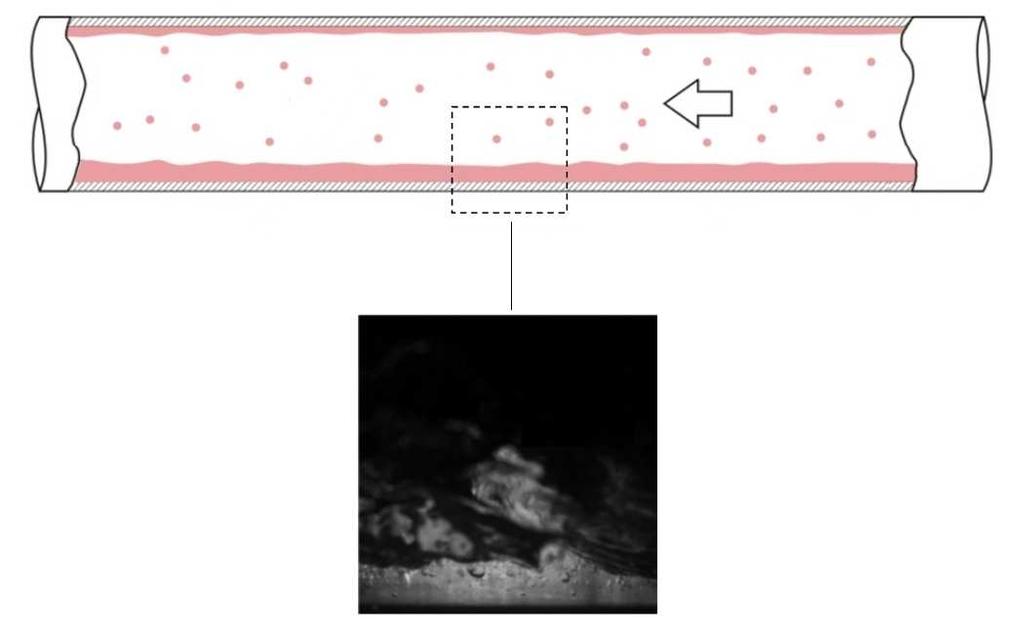 Capítulo 3 Técnicas Ópticas de Visualização Utilizadas 50 devido ao efeito da gravidade e gotículas de líquido arrancadas pelo escoamento de gás.