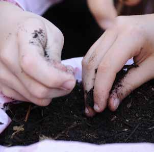 24 25 // compostagem // atividades Compostar, outra maneira de Reciclar Objetivos: // Ação de informação: