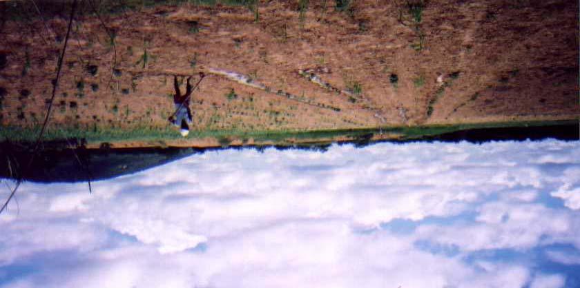 Figura 2. Pequeno agricultor utilizando o barreiro para irrigação suplementar.