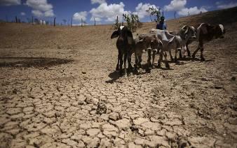 DESASTRES NATURAIS Seca Município de Crateús/CE SECA 2013 Prejuízos causados pela seca de 2013: Em