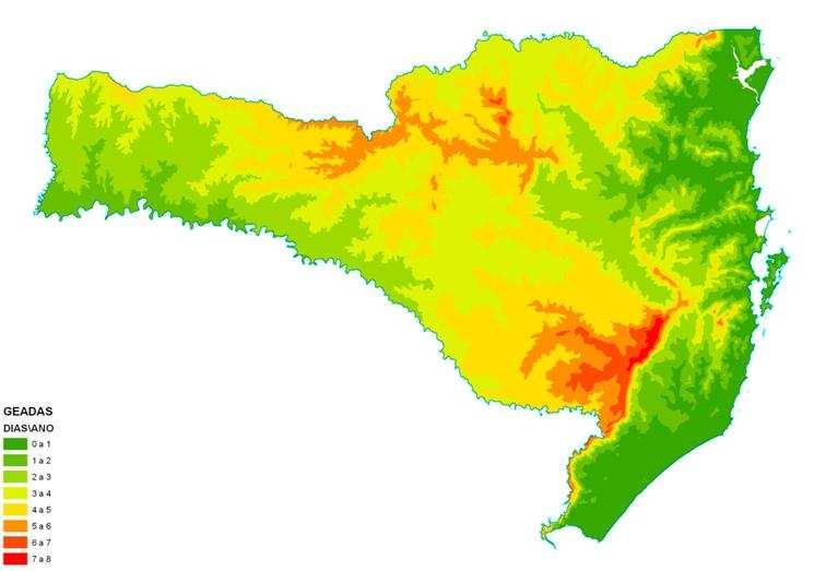 de melhoramento baseadas na escolha de matrizes que formarão as