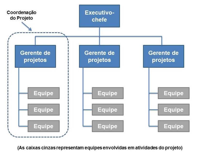 Fonte: PMI, 2008 (Vídeo disponível no material on-line) Estrutura Matricial A organização matricial é uma combinação das organizações funcionais e por projetos.