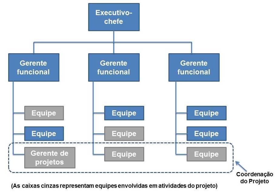 reconhece a necessidade de um gerente de projetos, no entanto, este não tem autoridade