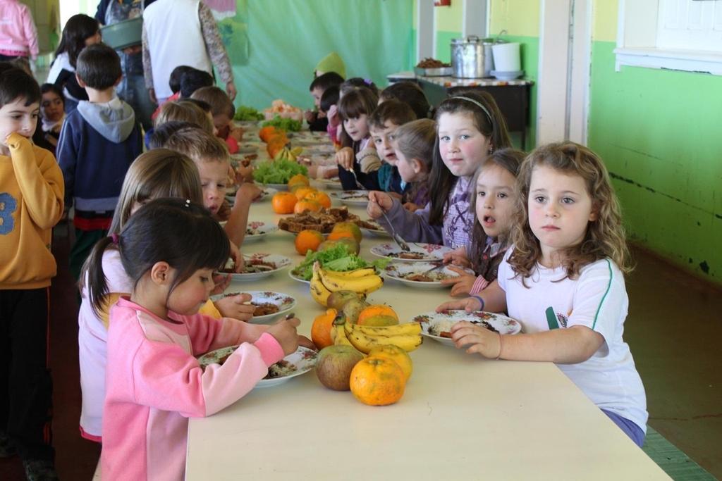 Alimentação das