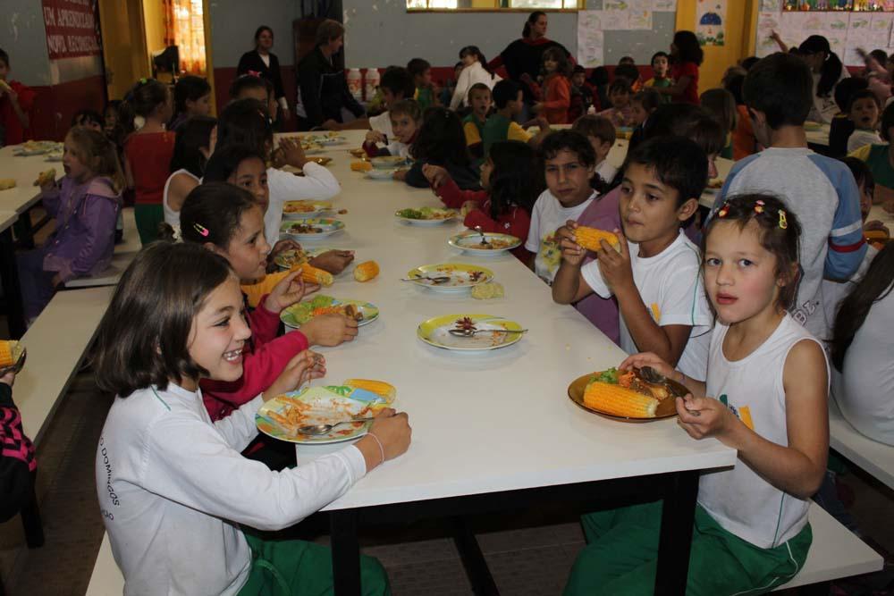 Alimentação das