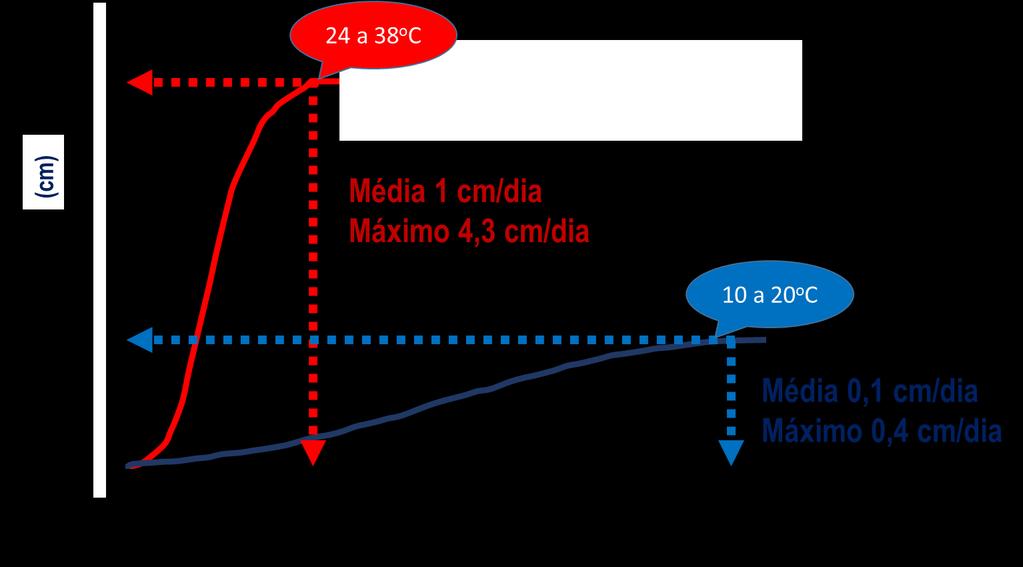 Impacto do ambiente no