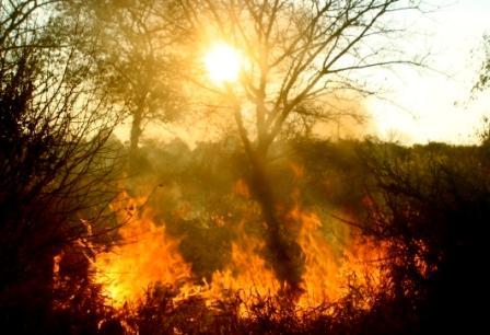 O fogo é usado em zonas rurais com diferentes propósitos incluindo a abertura de machambas, queima de resíduos, produção de carvão de lenha, colheita de mel, caça e para cozinhar.