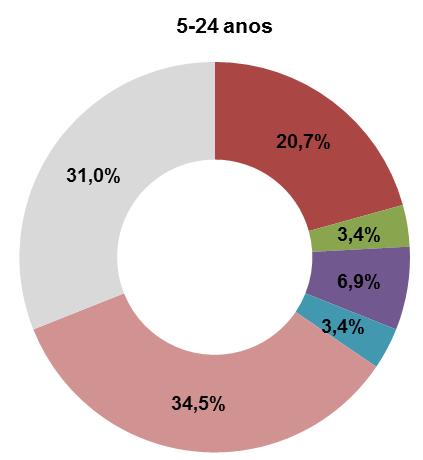Mortalidade proporcional no ACeS de Braga, por ciclo de