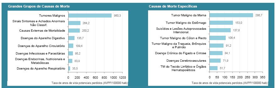 Grandes grupos de causas de morte e causas de morte específicas Fonte: OLS Na figura 22 está representada graficamente a taxa de anos de