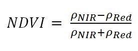 Equação 1: NDVI Sendo: ρnir: reflectância na banda 4 do infravermelho próximo; ρred: reflectância na banda 3 do vermelho.
