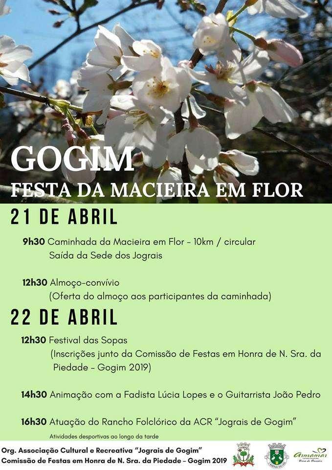 Dia 21 e 22 Festa da macieira em Flor em Gogim Organização: Associação Cultural e