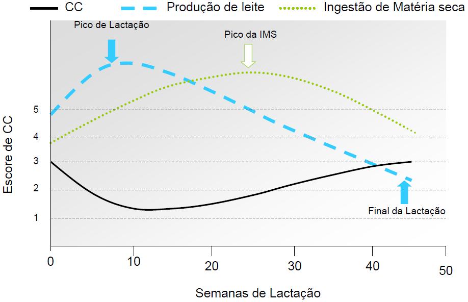 Período