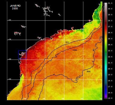 JANEIRO, FEVEREIRO E MARÇO Figura 7: Média mensal da temperatura da superfície do mar de janeiro, fevereiro e março de 2008.