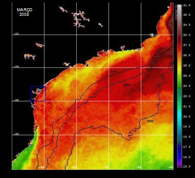 É possível visualizar o aparecimento de ressurgências relativamente fortes entre as cidades de Vitória - ES e Cabo de São Tomé - RJ (20 S e 22 S), e ressurgências mais fracas em Cabo Frio-RJ (23 S) e