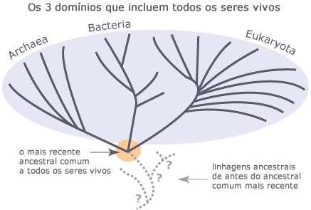 Ficou evidente que os vírus eram capazes de infectar todos os