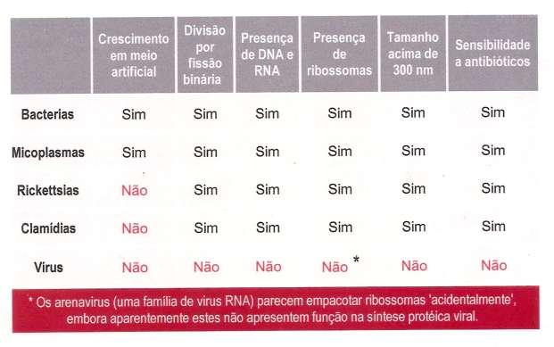 Principais diferenças entre os