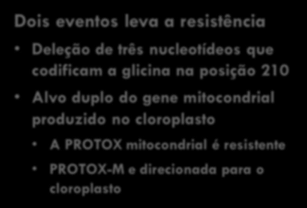 Sumário dos mecanismos de resistência Dois eventos leva a resistência Deleção de três nucleotídeos que codificam a glicina na posição