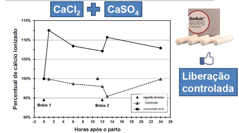 Sampson, J.D.; Spain, J.N.; Jones, C. et al. Effects of calcium chloride and calcium sulfate in an oral bolus given as a supplement to postpartum dairy cows. The Veterinary Therapeutics, n. 10, p.