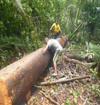 A braça marítima é medida com um homemem pé que fica apoiado na ponta do dedo do pé, com braço erguido para cima mais o teçado erguido para cima.