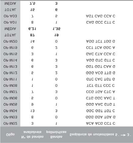 os oligonucleotídeos OP-P 01, OP-P 02, OP-P 03, OP-P 04, OP-P 07, OP-P 11, OP-P 12, OP-P 13, OP-P 14 e OP-P 5 não geraram nenhuma banda polimórfica, sendo a série que apresentou a menor média de