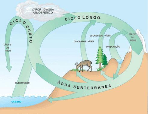 3. O ciclo: O ciclo hidrológico pode ser subdividido em dois ciclos: Ciclo curto: envolve a água da atmosfera,