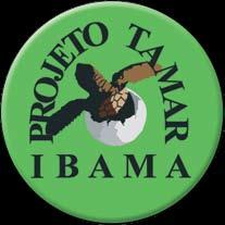 Projeto TAMAR Em 1986, quando Fernando de Noronha era um Território Federal administrado pelo Ministério da Aeronáutica, foram doados 70 hectares na Praia do Leão ao Projeto TAMAR, de proteção às
