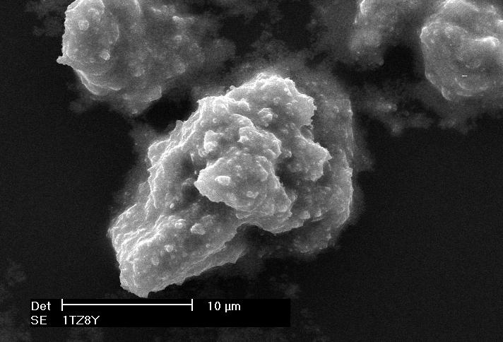 A B FIGURA 14: Micrografia obtida em microscópio eletrônico