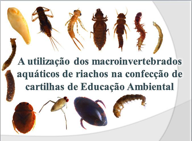 A utilização dos macroinvertebrados aquáticos de riachos do município de Vilhena RO na confecção de cartilhas de Educação Ambiental.