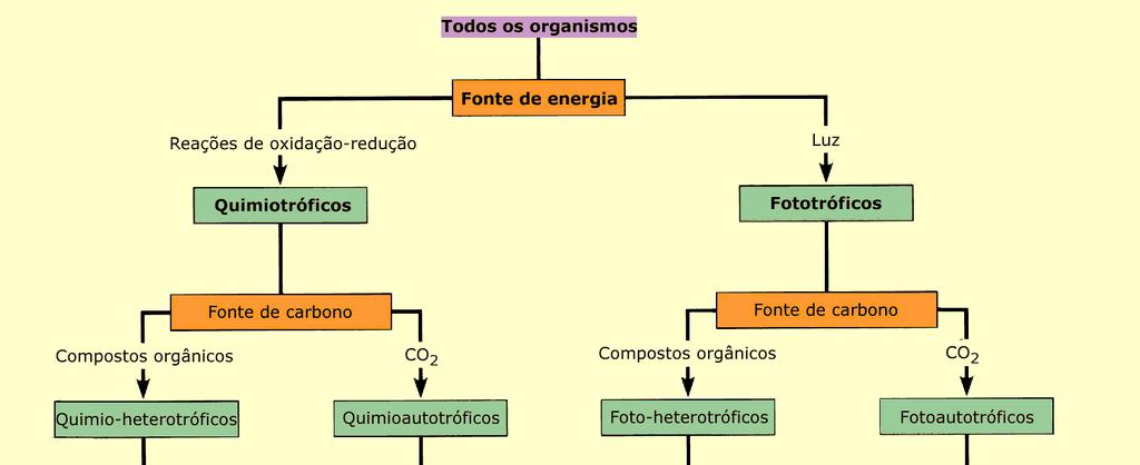 Nutrição das Bactérias Temperatura psicrófilas (12 a 17 C) mesófilas (28 a 37