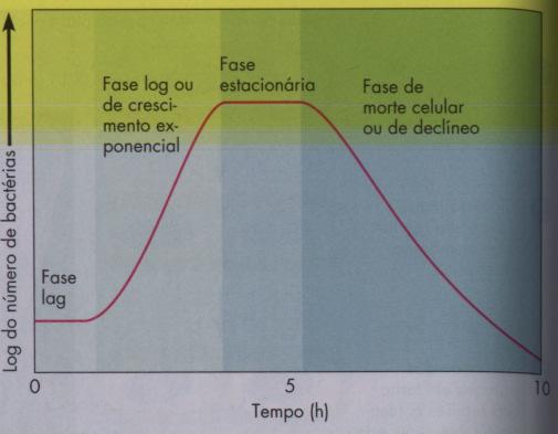 Não forma um cromossomo verdadeiro mas guarda toda a informação