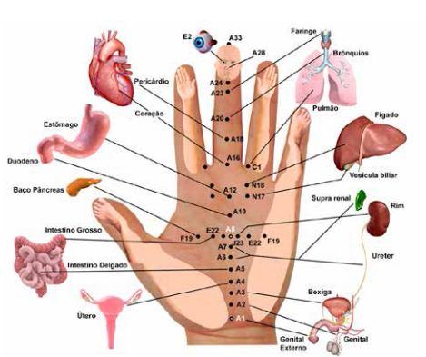 MANOPUNTURA / QUIROPUNTURA A acupuntura das mãos se baseia no fato de que esse membro contém pontos correspondentes ao corpo humano; Isso se justifica quando