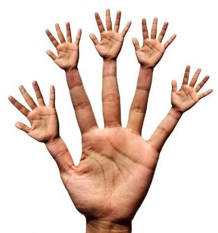 MANOPUNTURA / QUIROPUNTURA A manopuntura é um método que consiste em estimular certo número de pontos na mão com fins terapêuticos e analgésicos.