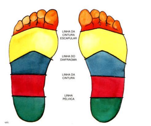PODOPUNTURA LINHAS DE REFERÊNCIAS Localizada abaixo da base dos dedos dos pés.