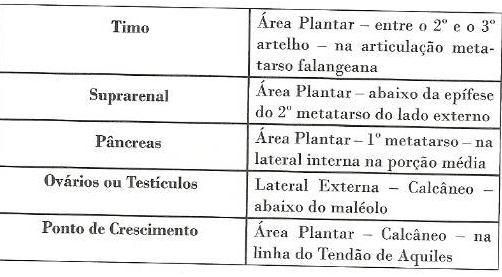 LOCALIZAÇÃO DOS