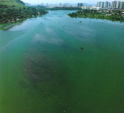 EXEMPLOS DE EUTROFIZAÇÃO Lagoa