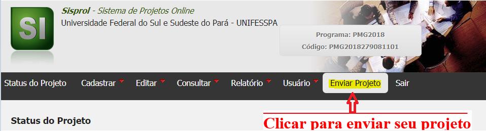 Etapa 7: Após cumprir todas as etapas anteriores clicar na