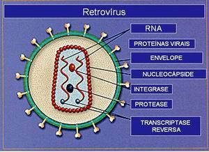 RNA viral.