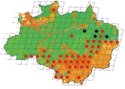 ÁREAS CRÍTICAS DE OCORRÊNCIA DE DESFLORESTAMENTO ( CORRESPONDENDO À ~ 75% DO TOTAL DO DESFLORESTAMENTO BRUTO ANUAL ) 47 IMAGENS LANDSAT A Amazônia é coberta por 229 dessas