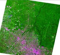 interpretação das imagens e cálculo da taxa anual de desflorestamento.