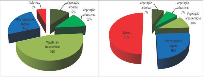 Revista GEOMAE - Geografia, Meio Ambiente e Ensino. Vol.01, Nº 01, 1ºSEM/2010 A comparação dos valores percentuais das diferentes classes de vegetação está apresentada no gráfico 01.