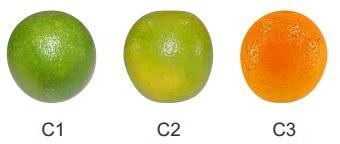 do que as frutas cultivadas em climas mais amenos, mas podem ser tão ou mais doces (CEAGESP, 2004). Na Figura 2 é possível observar os estágios de coloração da laranja.