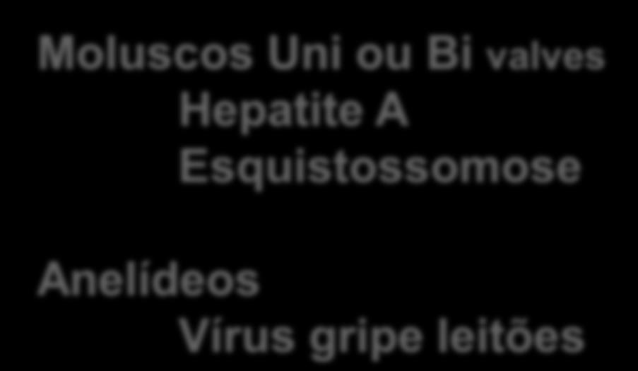 valves Hepatite A