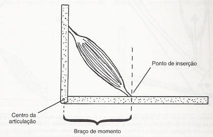 Exemplo de Momento - membro inferior * Eixo de rotação *