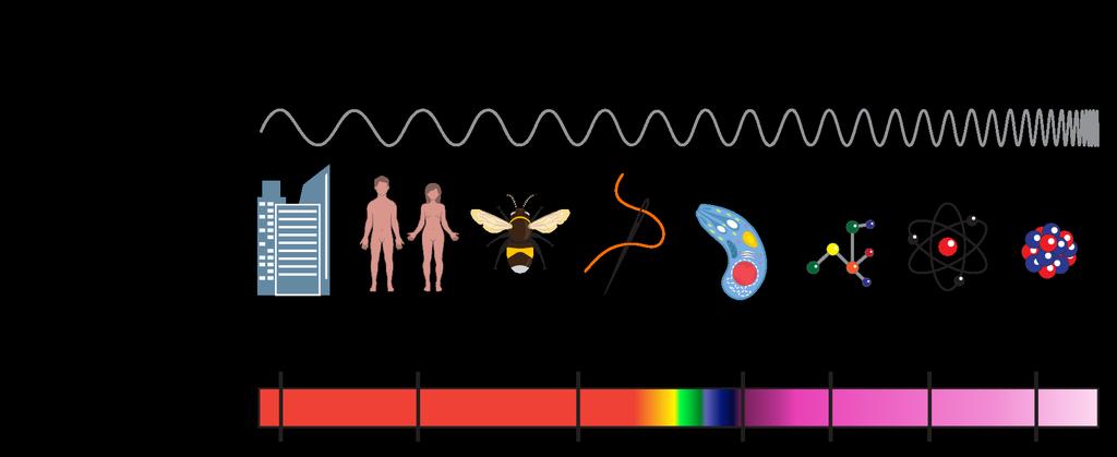 O ESPECTRO ELETROMAGNÉTICO 10 4 10 8 10 12 10 15 10 16 10 18 10 20 No espectro, os tipos de ondas são comparados com tamanhos de objetos, devido ao seu comprimento de onda.