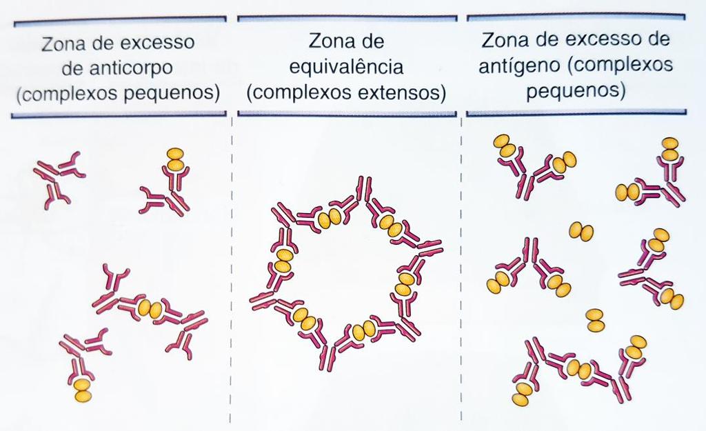 Testes de reação antígeno /anticorpo Razão entre antígeno e anticorpo Resposta imune eficaz